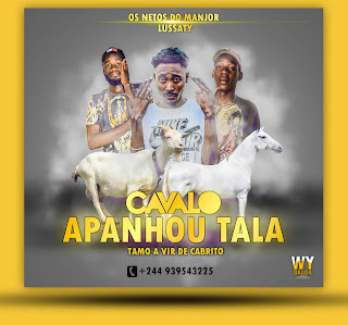 Os Neto Do Manjor Lussaty x King Defofera - Cavalo Apanhou Tala